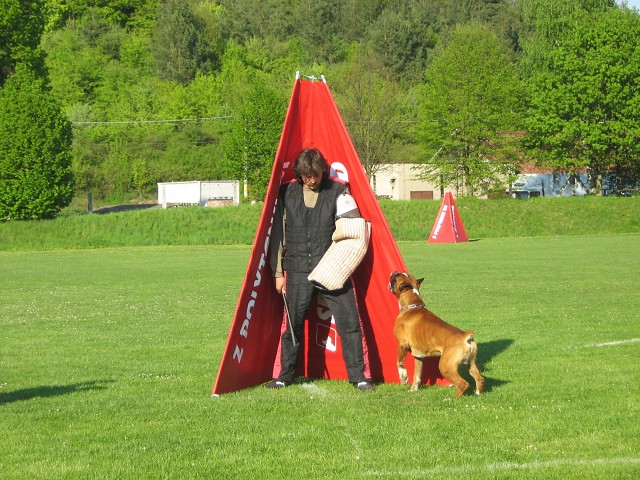 www.atibox.net * www.euroboxer.eu * www.boxergenealogia.eu